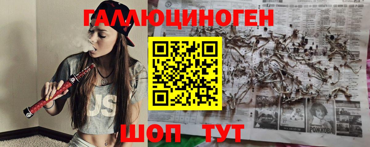 Галлюциногенные грибы Psilocybine cubensis  Псилоцибиновые грибы мухоморы  Ефремов  Вход с VPN 