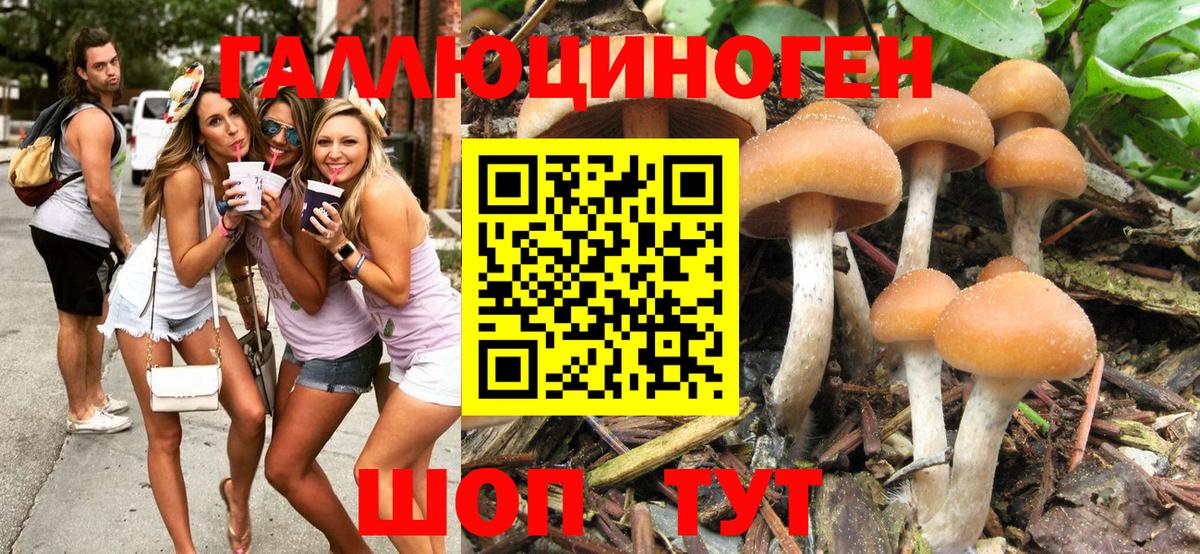 Галлюциногенные грибы ЛСД Ефремов